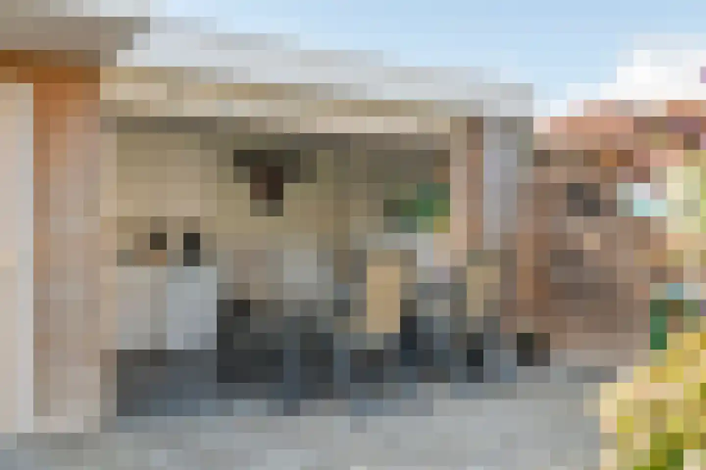 Bieskamp 13 Druten thumbnail 6