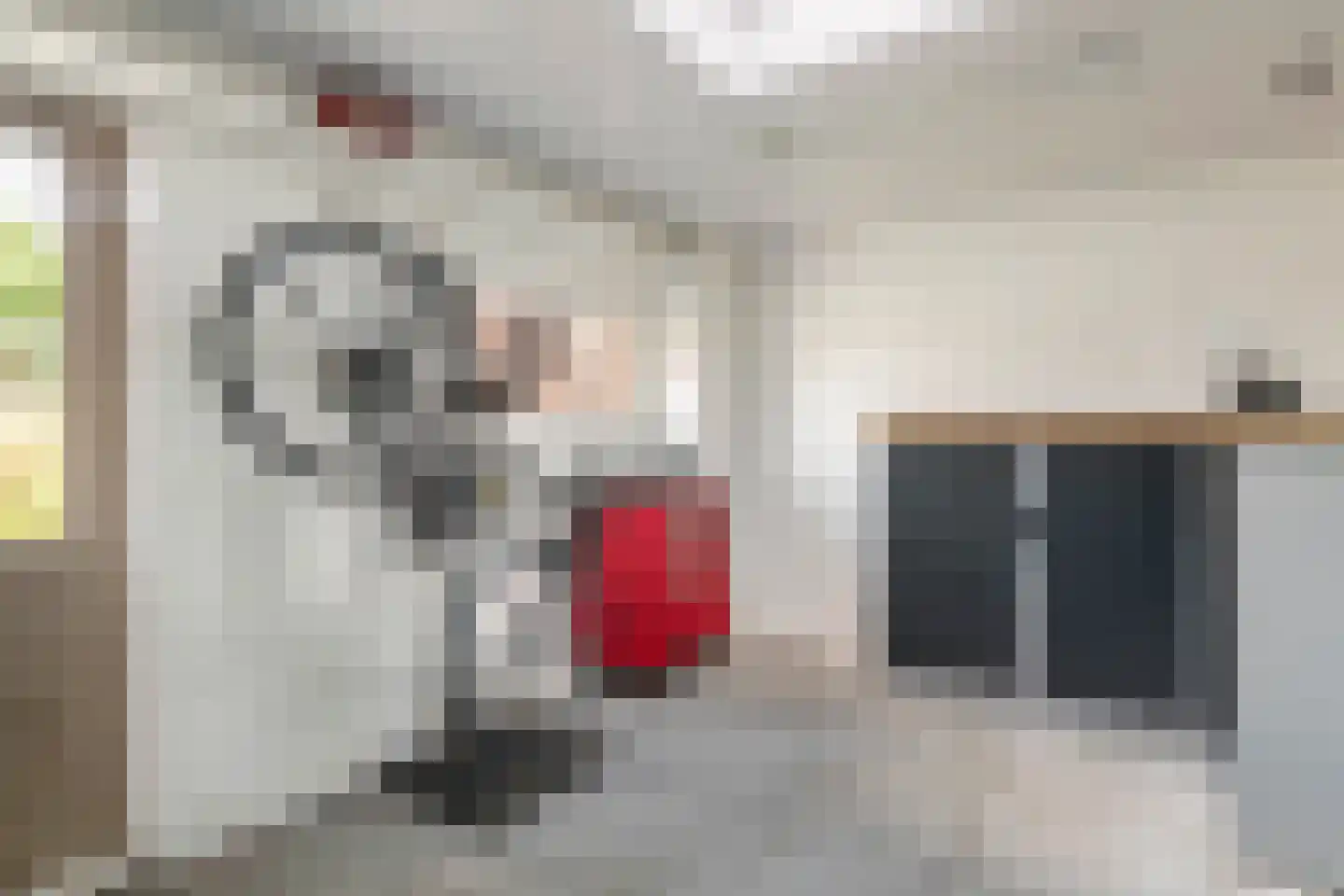 Bieskamp 13 Druten thumbnail 7