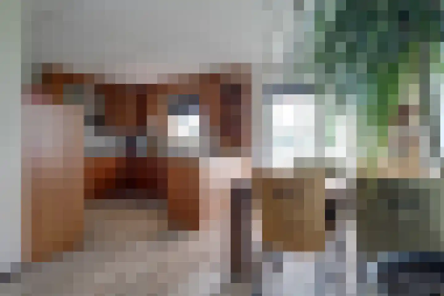 Bieskamp 13 Nieuwaal thumbnail 11