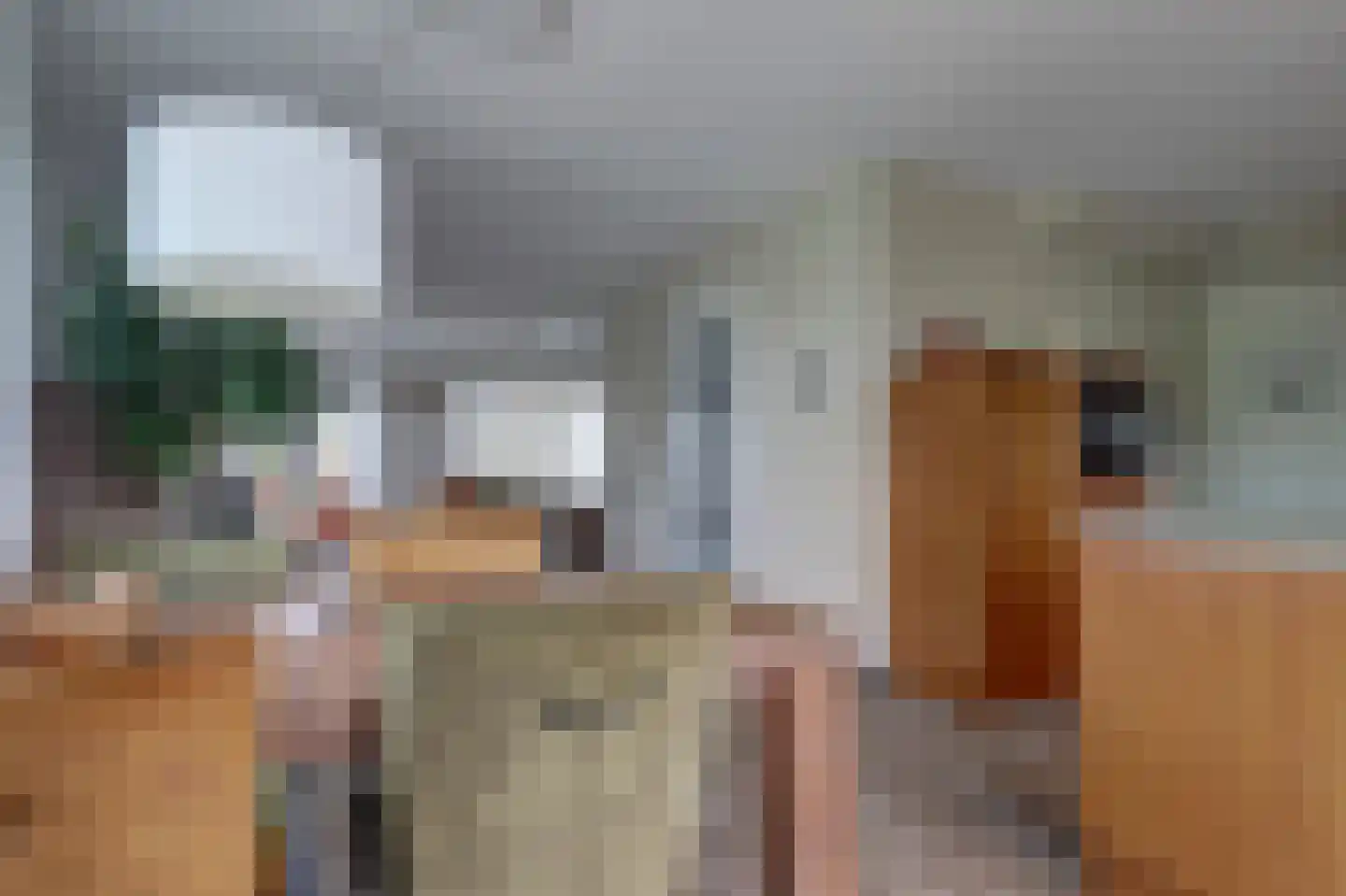 Bieskamp 13 Nieuwaal thumbnail 12