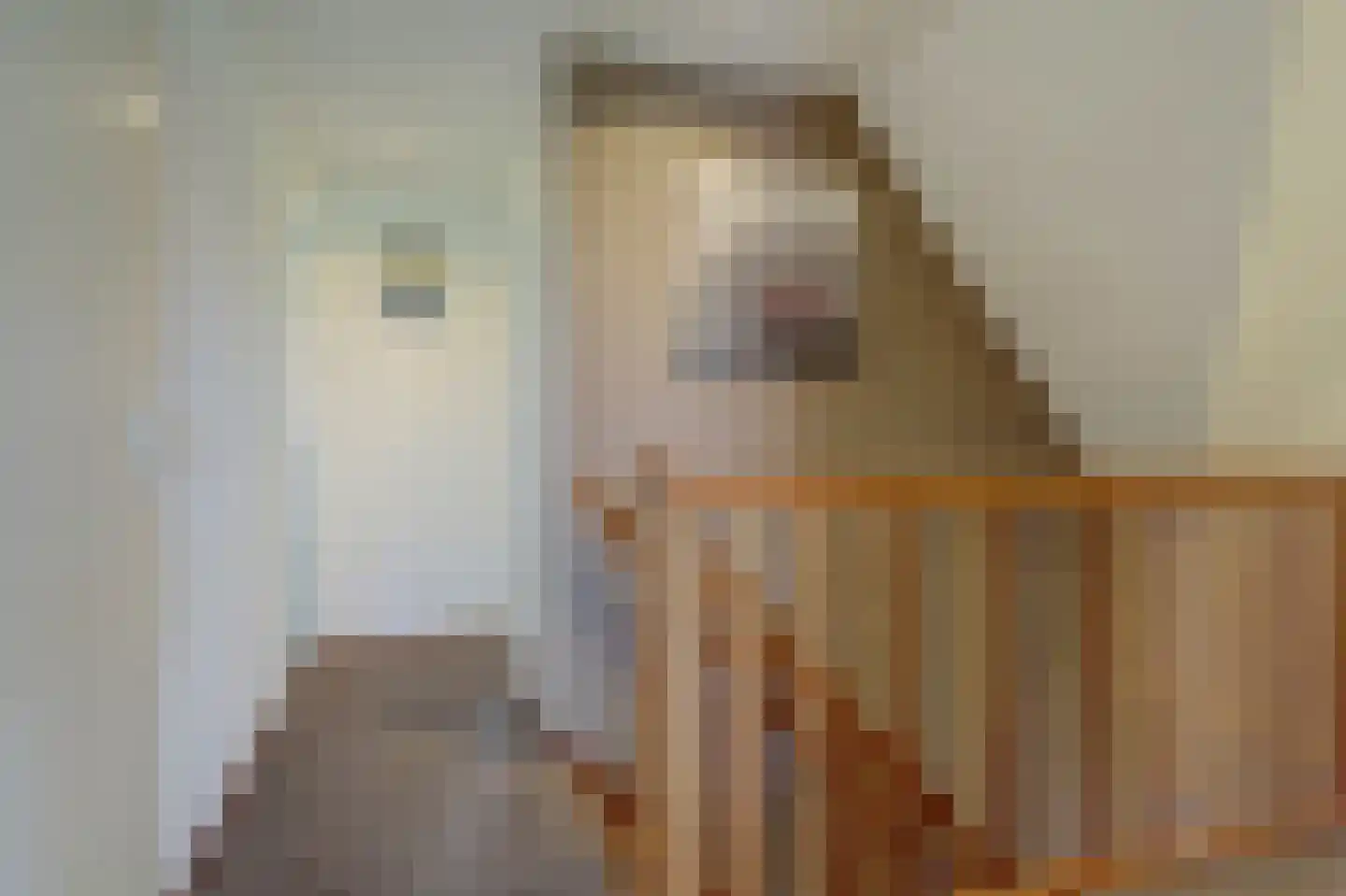 Bieskamp 13 Nieuwaal thumbnail 14