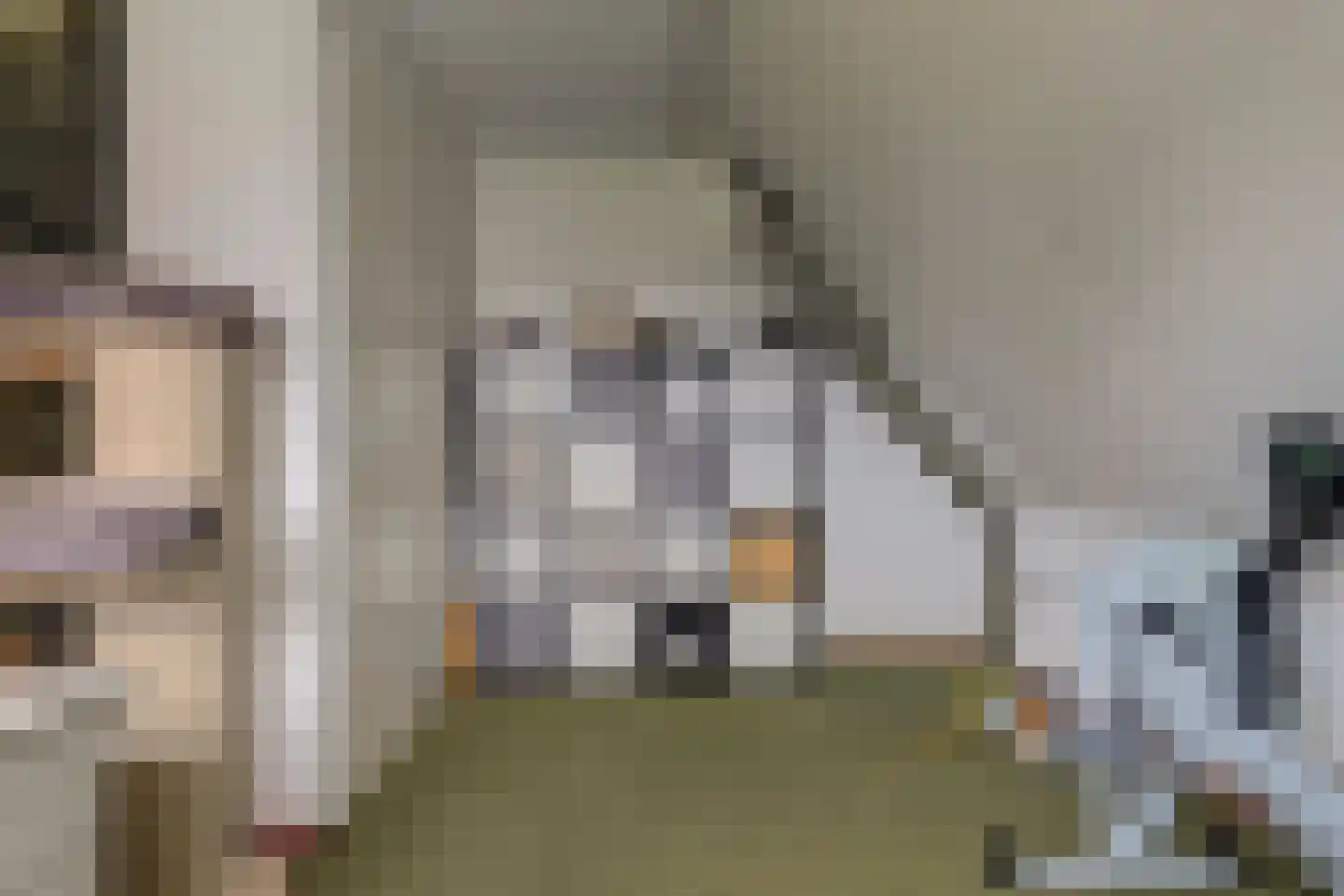 Bieskamp 13 Nieuwaal thumbnail 21