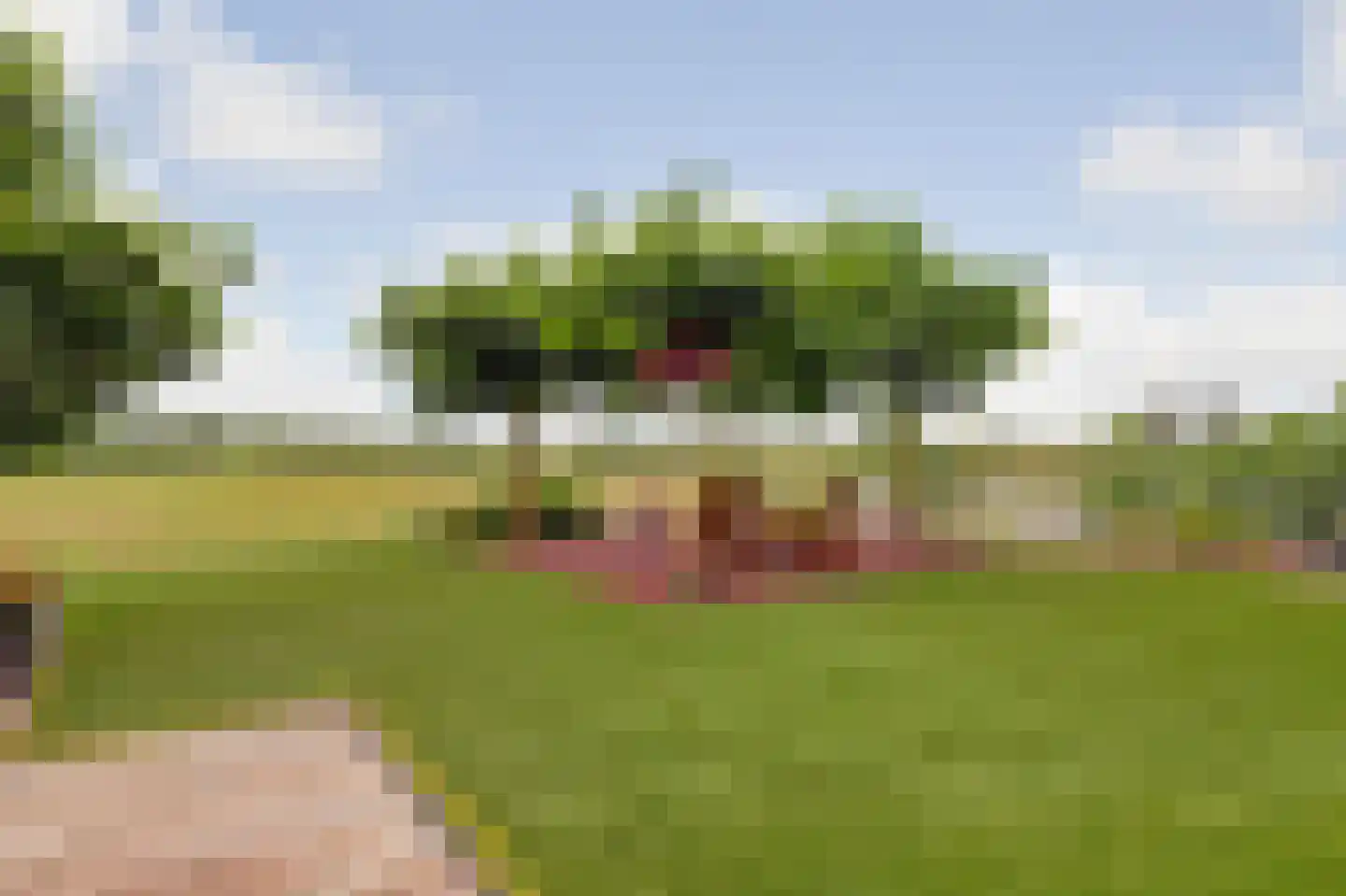 Bieskamp 13 Nieuwaal thumbnail 30