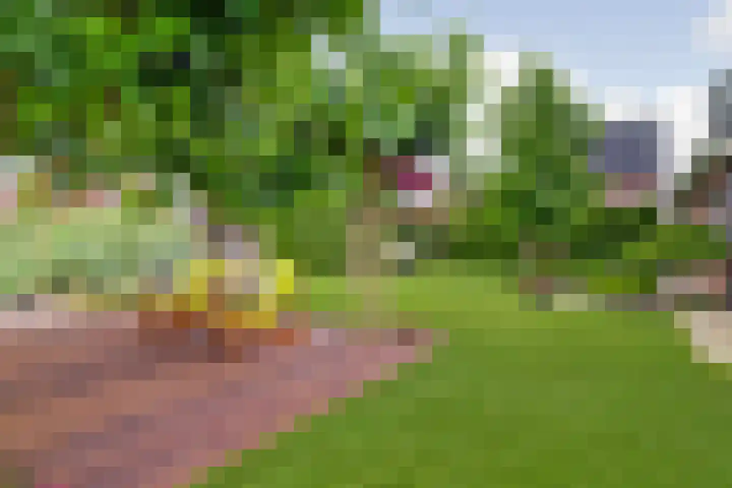 Bieskamp 13 Nieuwaal thumbnail 34