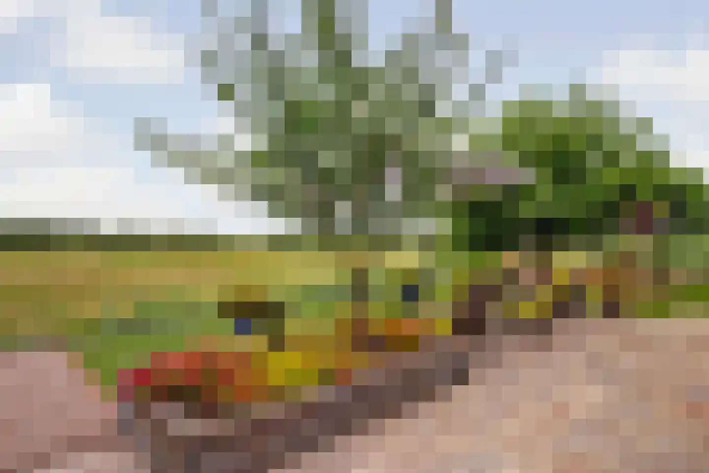 Bieskamp 13 Nieuwaal thumbnail 36
