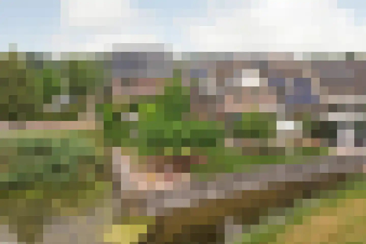 Bieskamp 13 Nieuwaal thumbnail 39