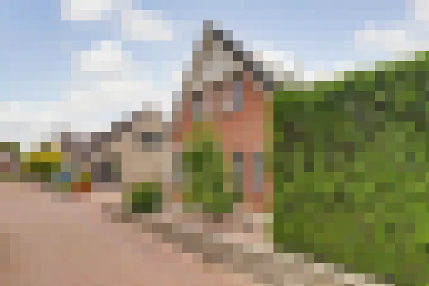 Bieskamp 13 Nieuwaal thumbnail 43