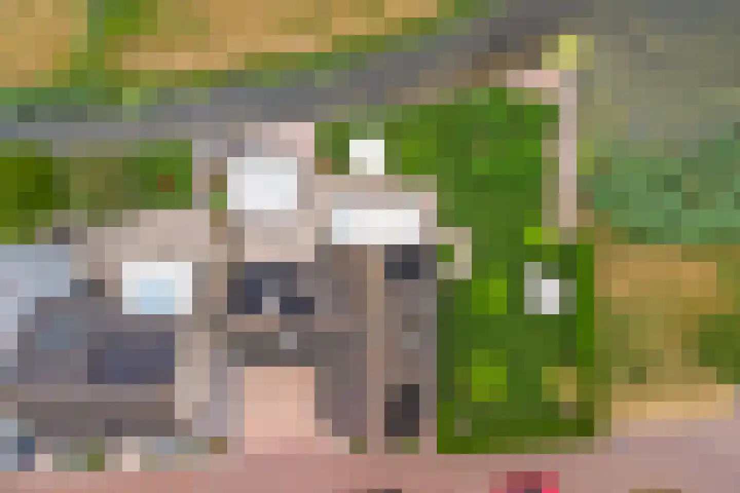 Bieskamp 13 Nieuwaal thumbnail 45