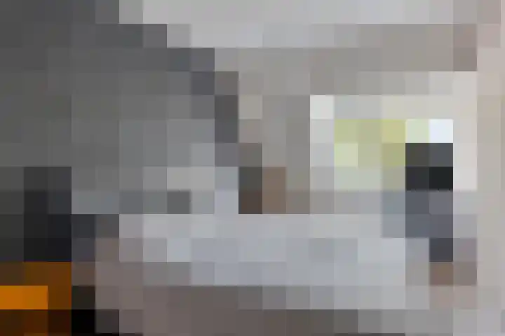 Bieskamp 22 Nieuwaal thumbnail 14