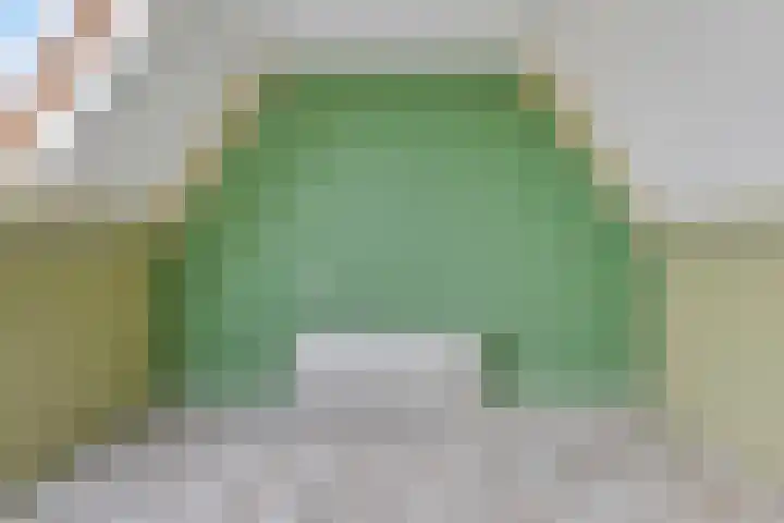 Bieskamp 22 Nieuwaal thumbnail 21