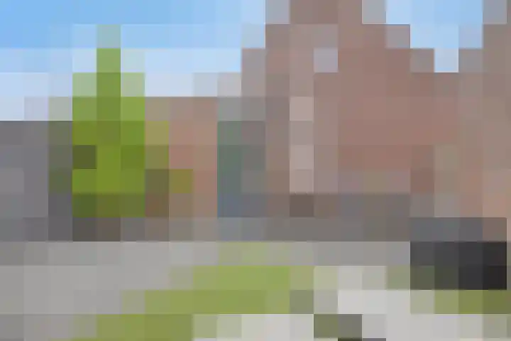 Bieskamp 22 Nieuwaal thumbnail 25