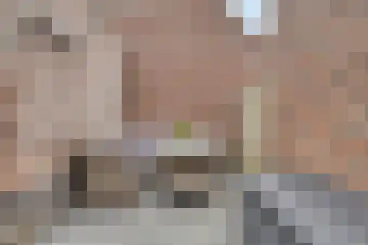 Bieskamp 22 Nieuwaal thumbnail 26