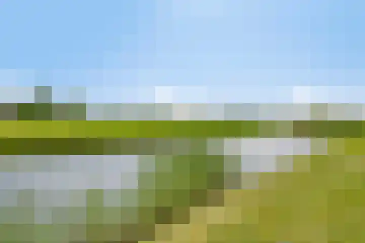 Bieskamp 22 Nieuwaal thumbnail 30