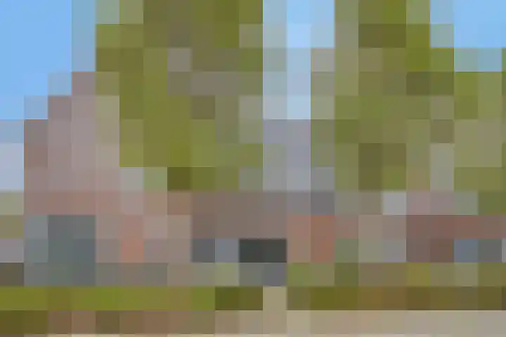 Bieskamp 22 Nieuwaal thumbnail 4