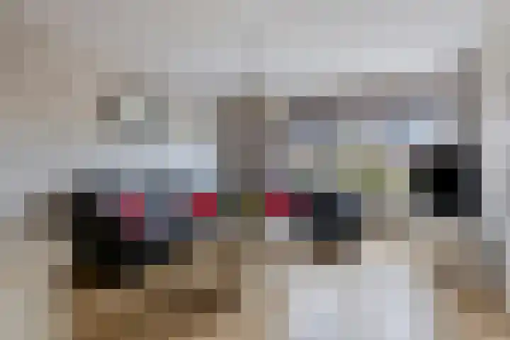 Bieskamp 22 Nieuwaal thumbnail 6