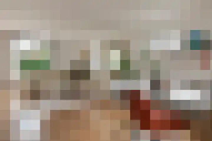 Bieskamp 28 Druten thumbnail 12
