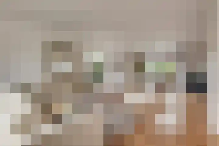 Bieskamp 28 Druten thumbnail 15