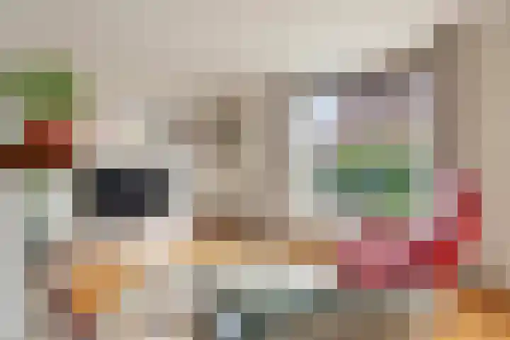 Bieskamp 28 Druten thumbnail 16