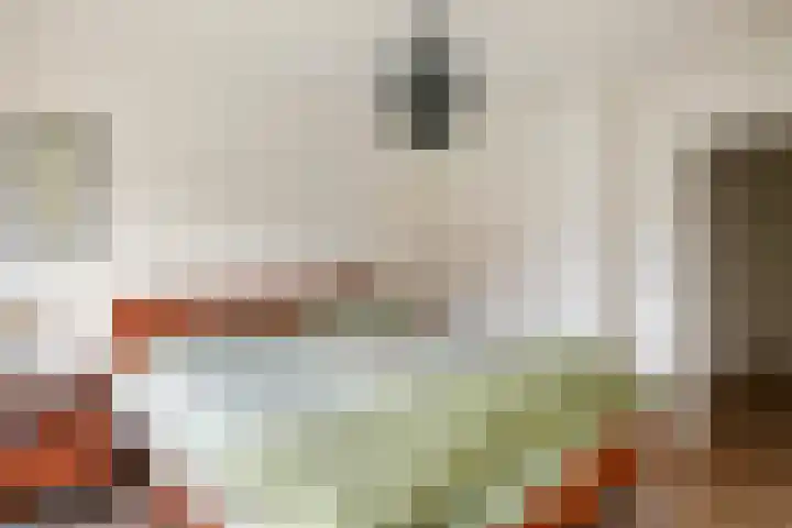 Bieskamp 28 Druten thumbnail 22