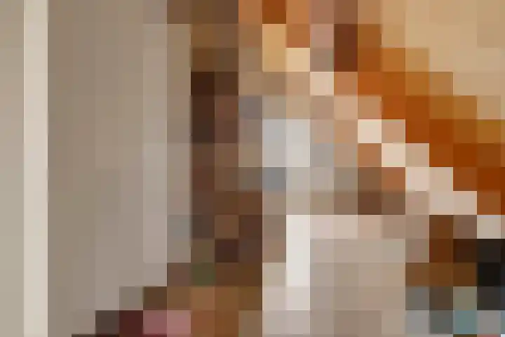 Bieskamp 28 Druten thumbnail 32