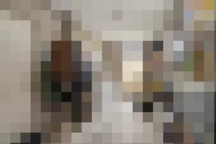 Bieskamp 28 Druten thumbnail 36