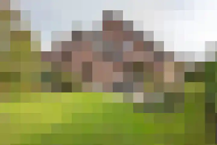 Bieskamp 28 Druten thumbnail 38