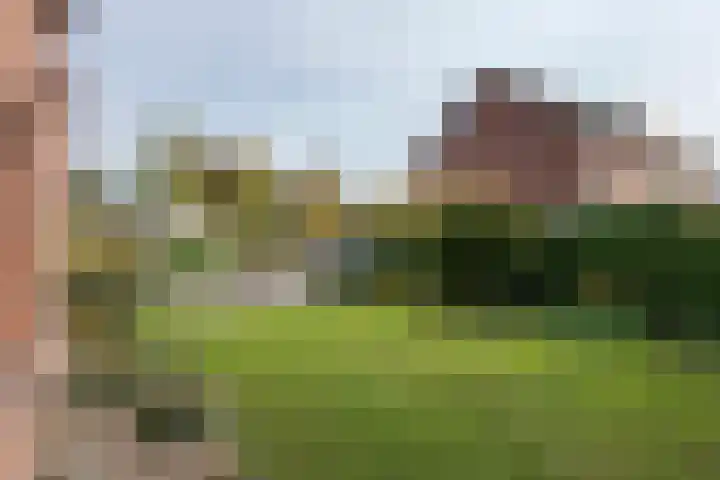 Bieskamp 28 Druten thumbnail 39