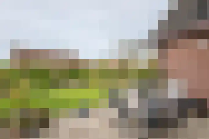 Bieskamp 28 Druten thumbnail 40