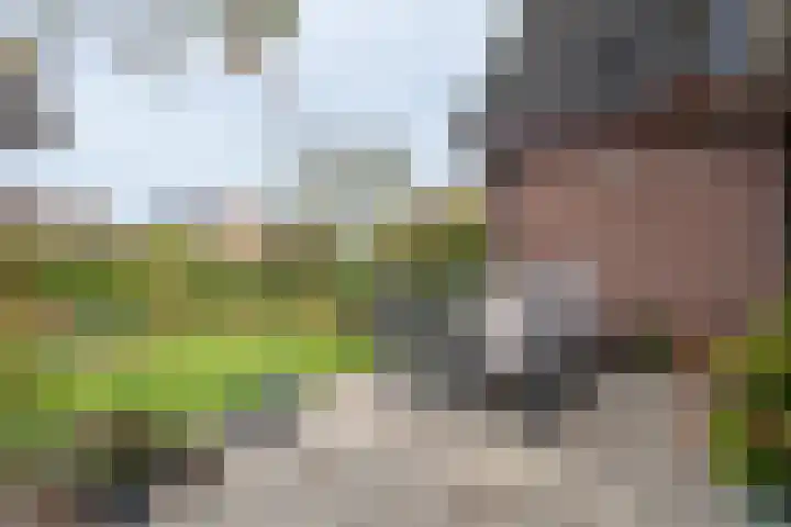 Bieskamp 28 Druten thumbnail 41