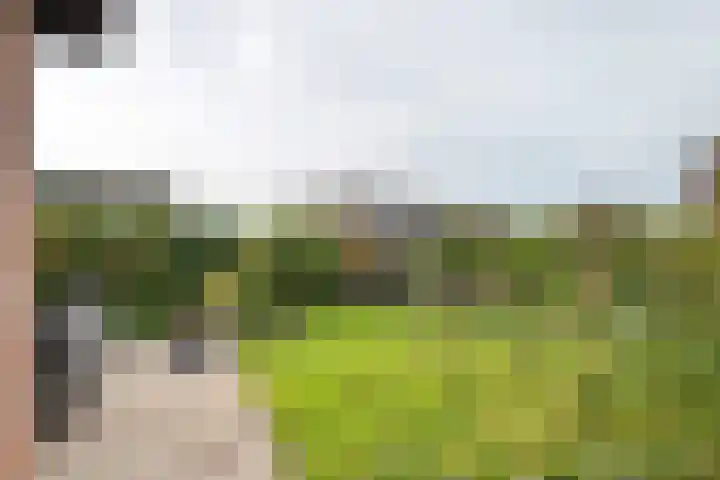 Bieskamp 28 Druten thumbnail 42
