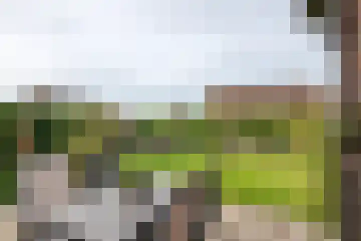 Bieskamp 28 Druten thumbnail 43