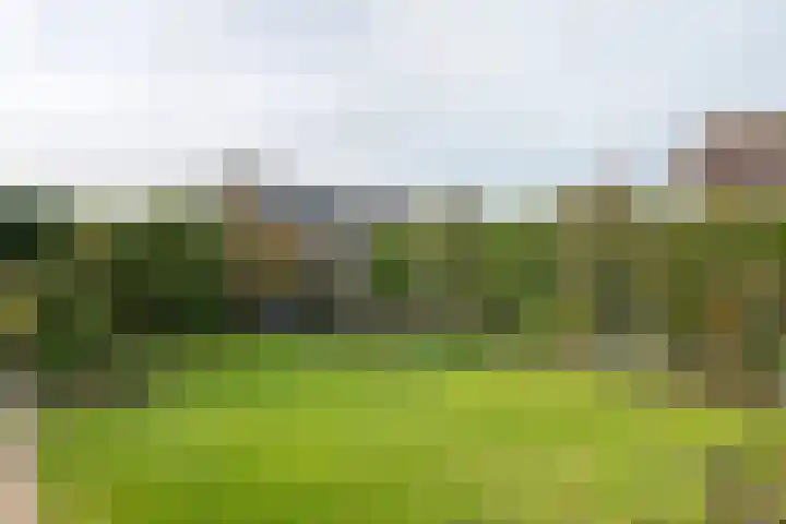 Bieskamp 28 Druten thumbnail 44