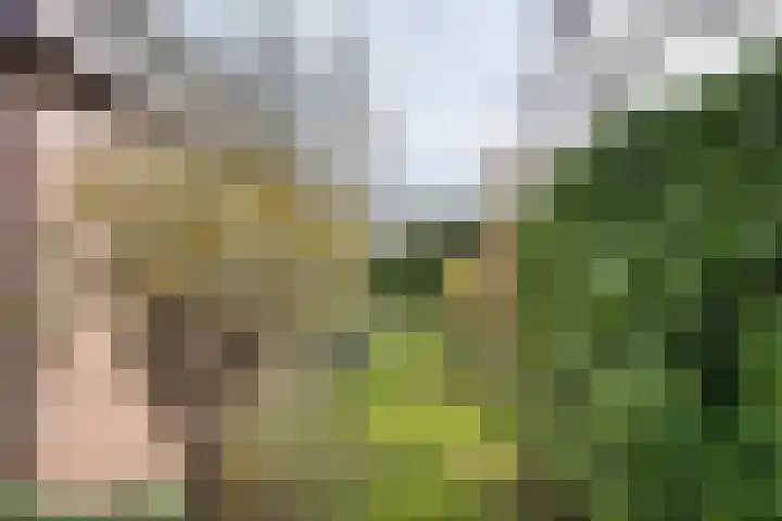 Bieskamp 28 Druten thumbnail 45