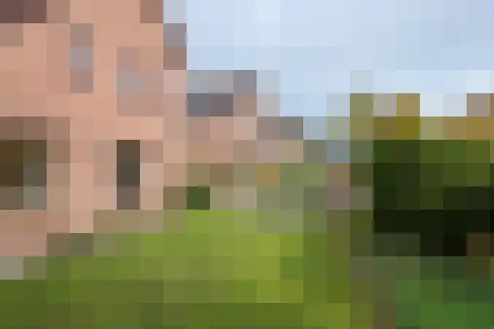 Bieskamp 28 Druten thumbnail 46