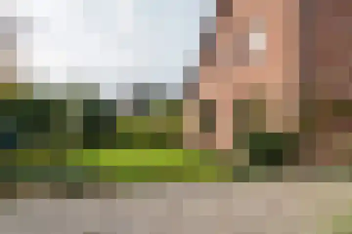 Bieskamp 28 Druten thumbnail 47