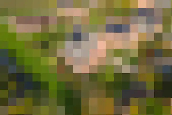 Bieskamp 28 Druten thumbnail 48