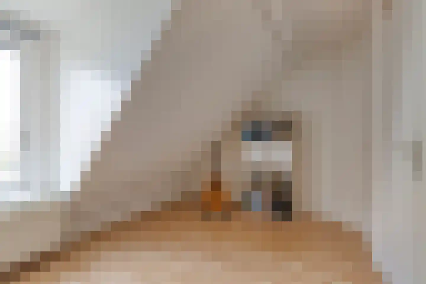 Bieskamp 72 Druten thumbnail 16
