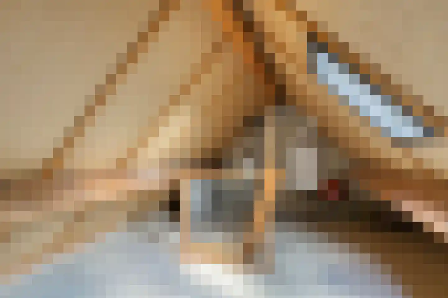 Bieskamp 72 Druten thumbnail 21