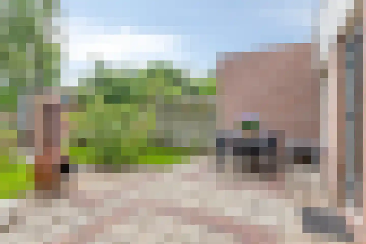 Bieskamp 72 Druten thumbnail 22