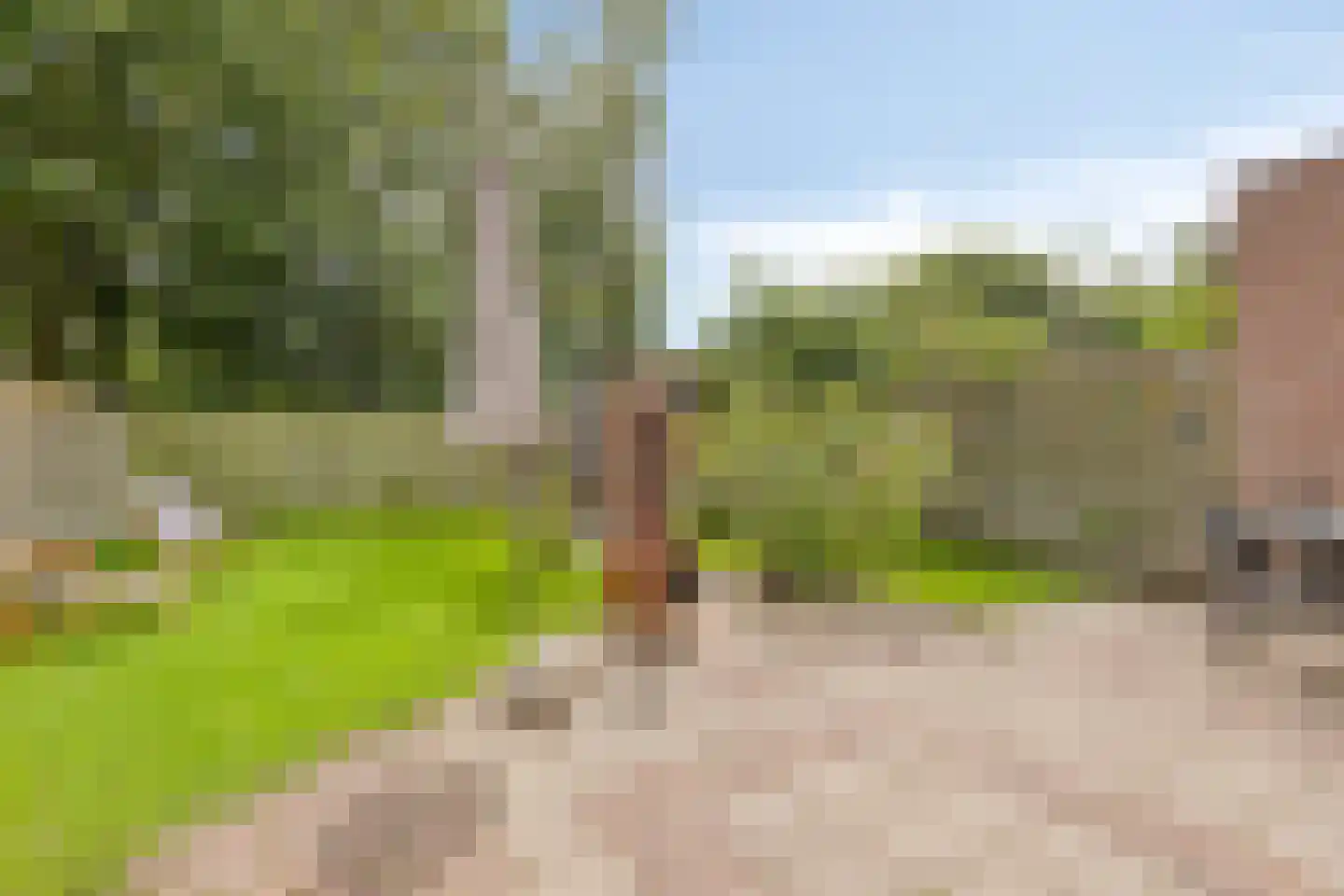 Bieskamp 72 Druten thumbnail 24