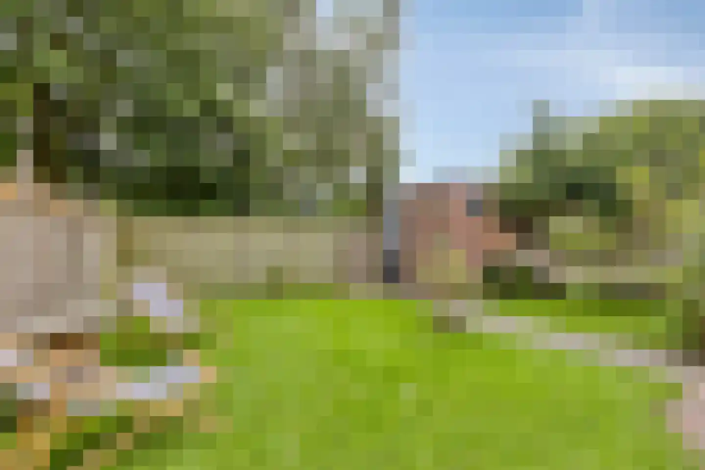 Bieskamp 72 Druten thumbnail 25