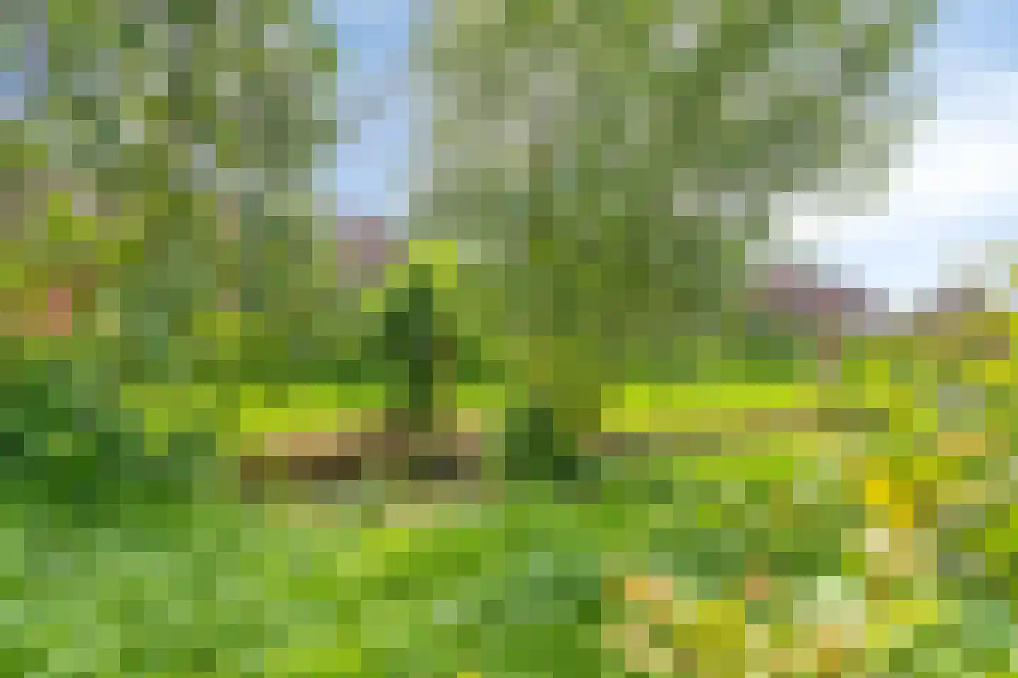 Bieskamp 72 Druten thumbnail 30