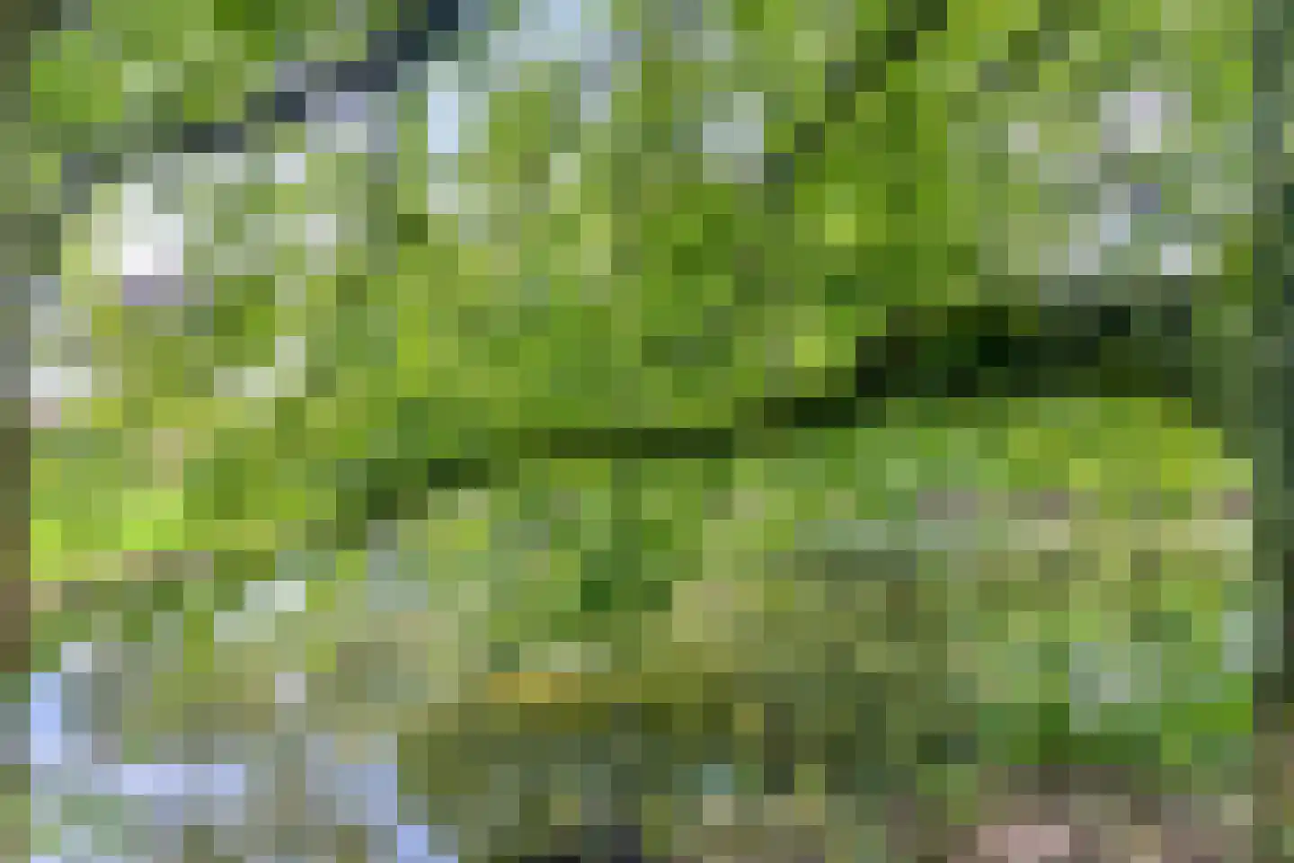 Bieskamp 72 Druten thumbnail 31