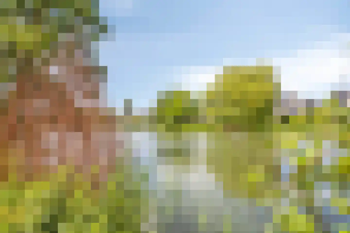 Bieskamp 72 Druten thumbnail 33