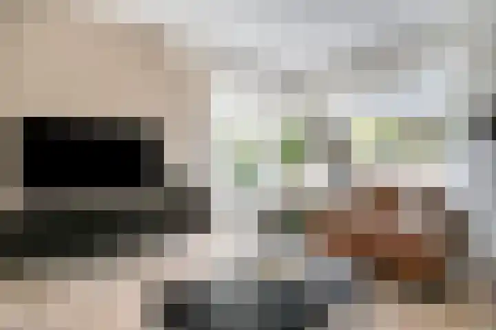 Bieskamp 9 Nieuwaal thumbnail 13