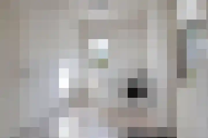 Bieskamp 9 Nieuwaal thumbnail 24