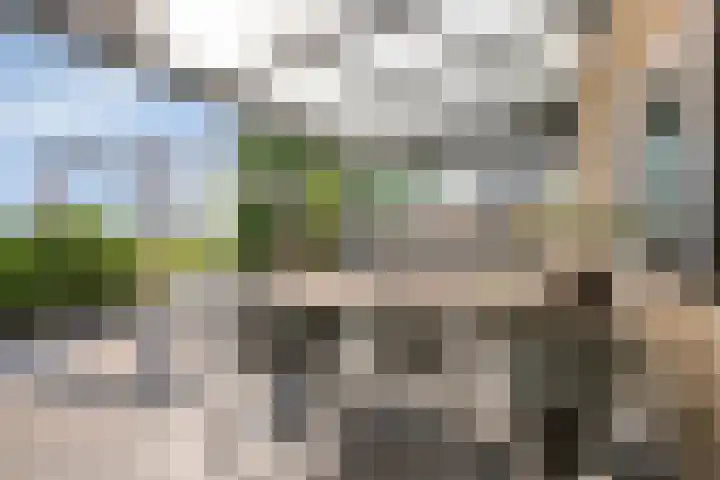 Bieskamp 9 Nieuwaal thumbnail 42