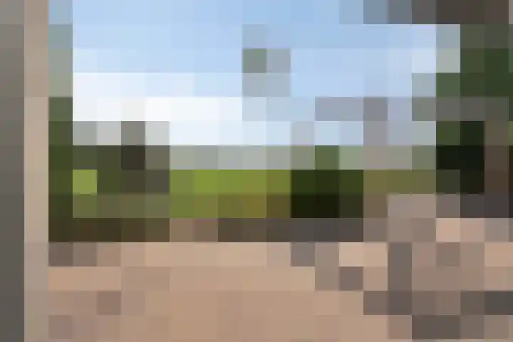 Bieskamp 9 Nieuwaal thumbnail 43