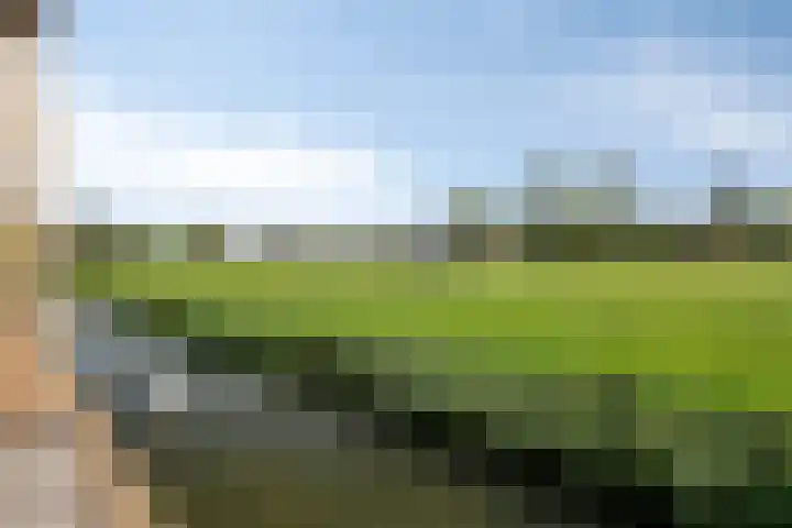 Bieskamp 9 Nieuwaal thumbnail 49