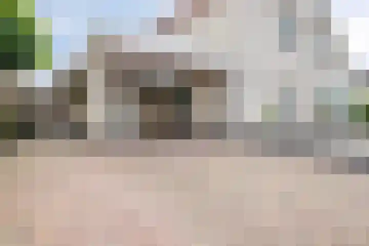 Bieskamp 9 Nieuwaal thumbnail 5